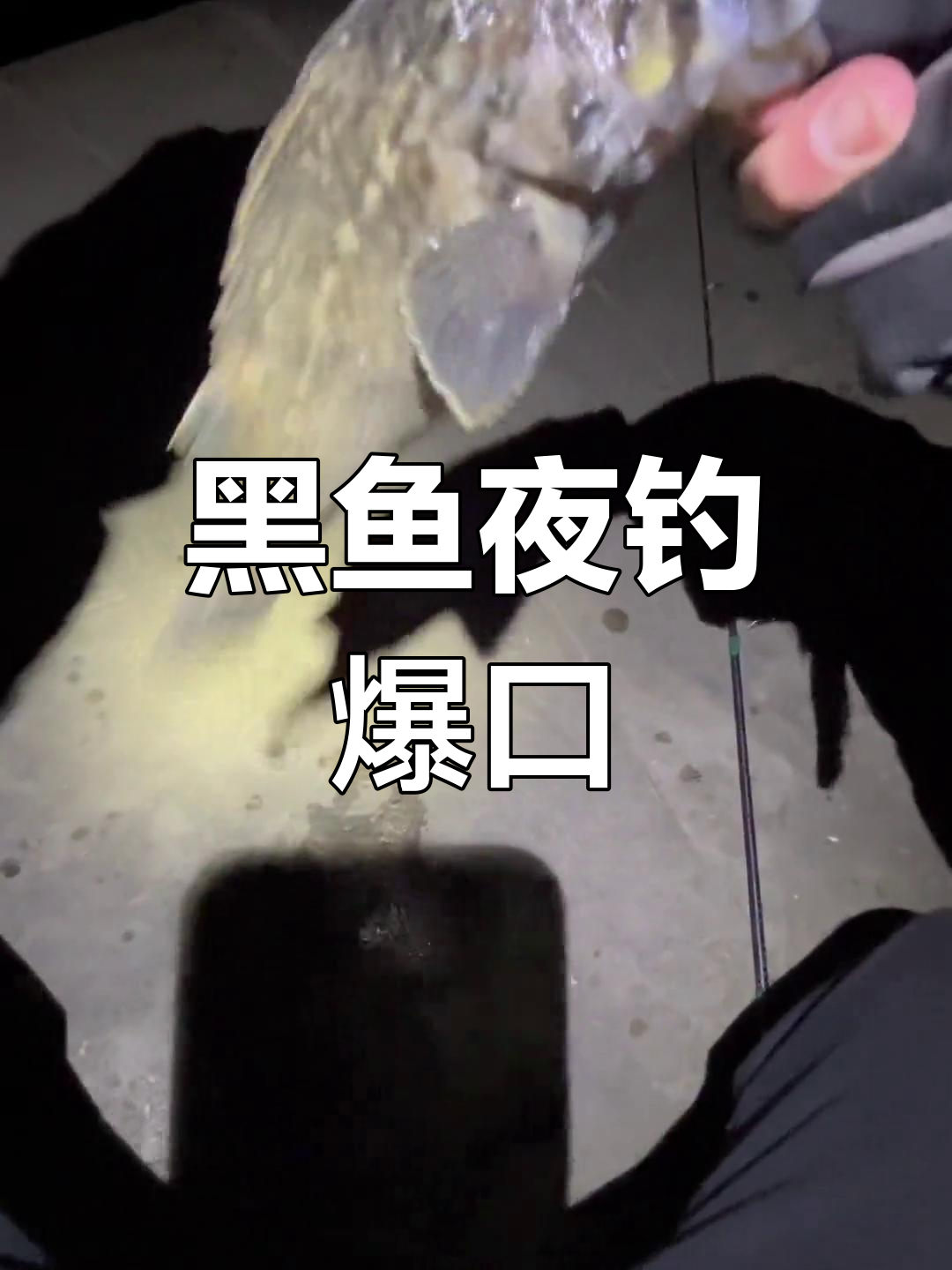 开发区黑鱼夜钓大丰收,根钓装备全解析