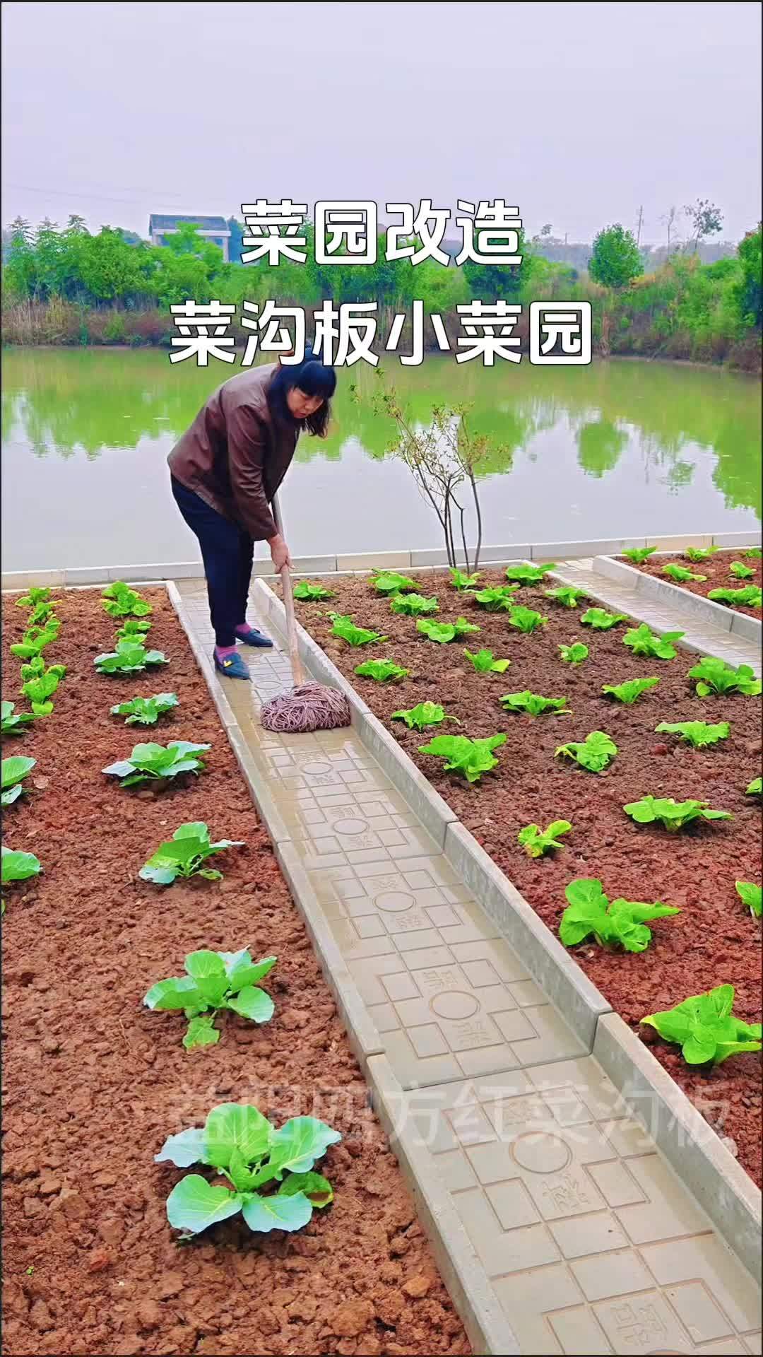 菜沟板 农村菜园设计 种菜 我的田园生活 院子改造