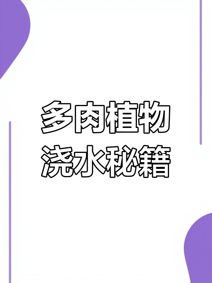 紫色系多肉植物养护技巧,轻松控养不失望