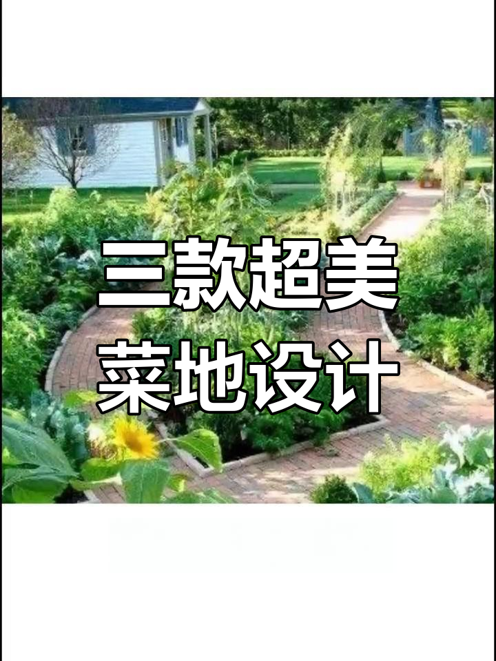 3种花园式菜地设计,实用又美观