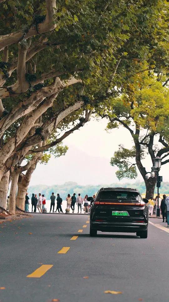 今天是12月15日,星期天,农历十一月十五,早安。感受宇宙山河灿烂,体会人间点滴温暖,那些