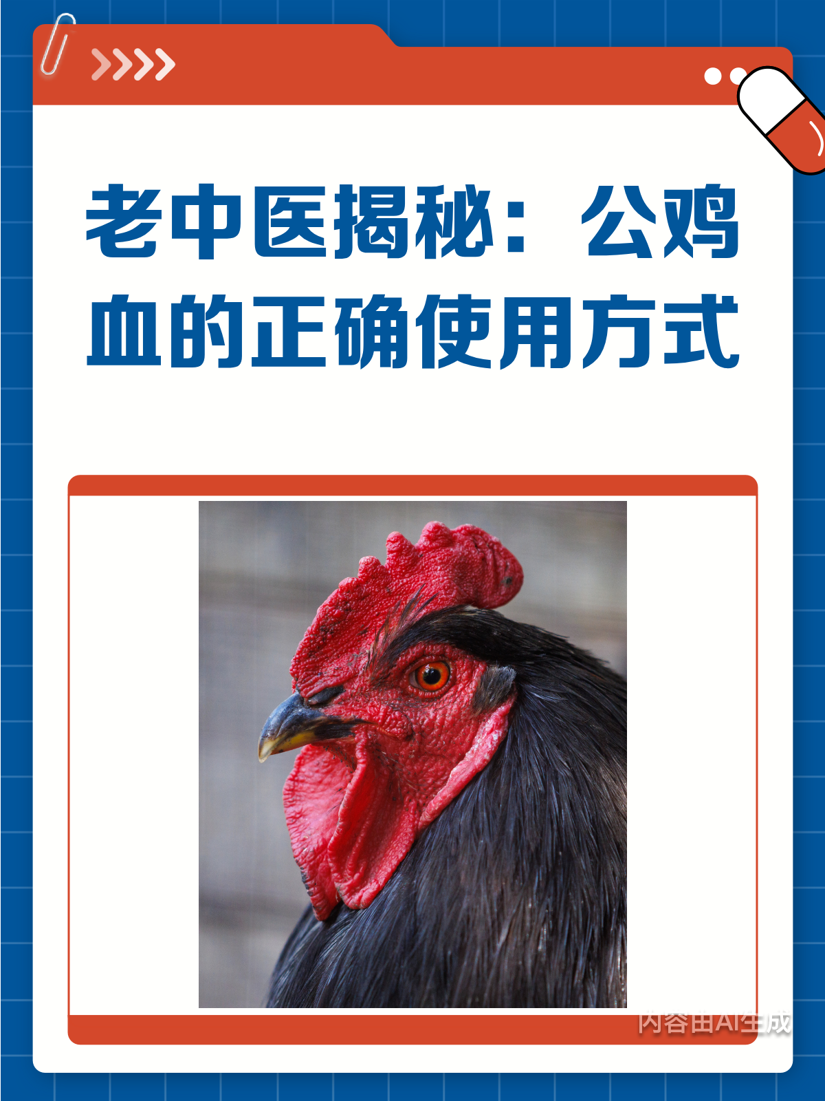 老中医揭秘!公鸡血这样用,效果意想不到