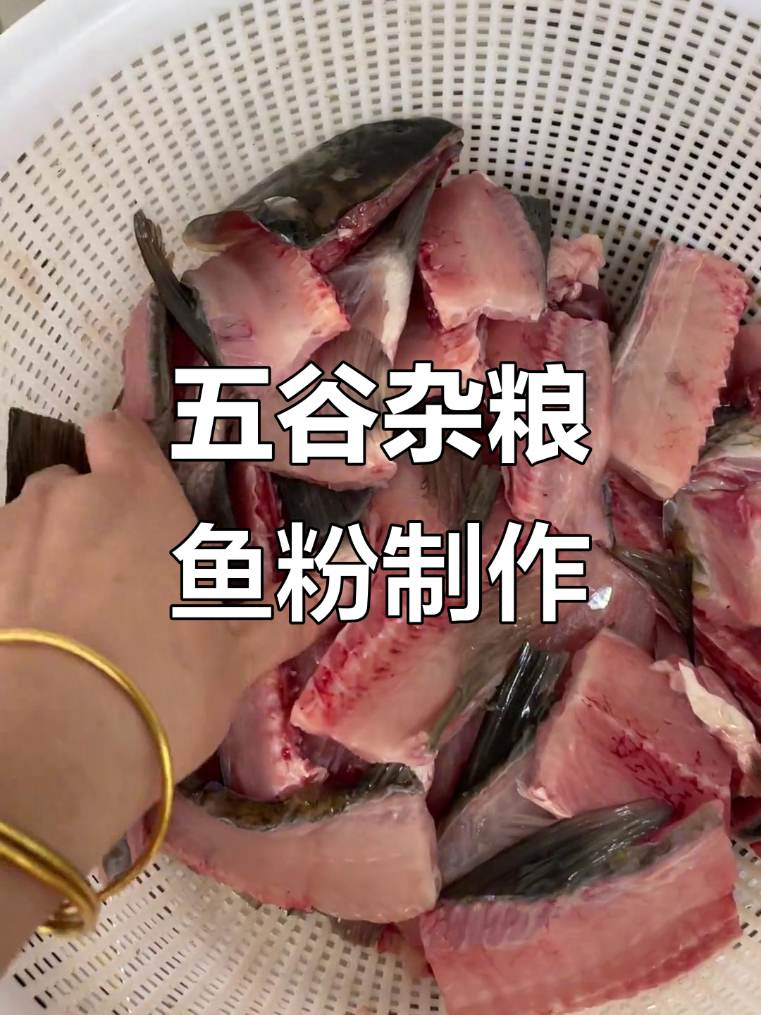 亲手做五谷杂粮鱼粉，鲜美又营养的元宵节特色美食