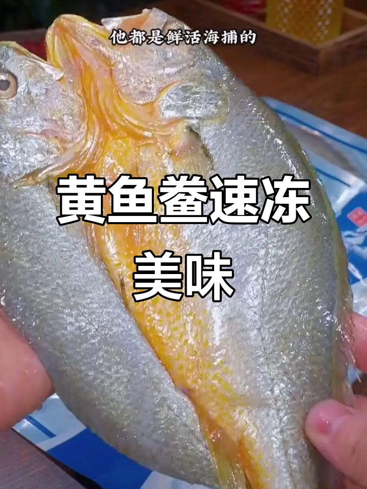 宁德黄鱼鲞,新鲜冷冻,免洗直接烹饪