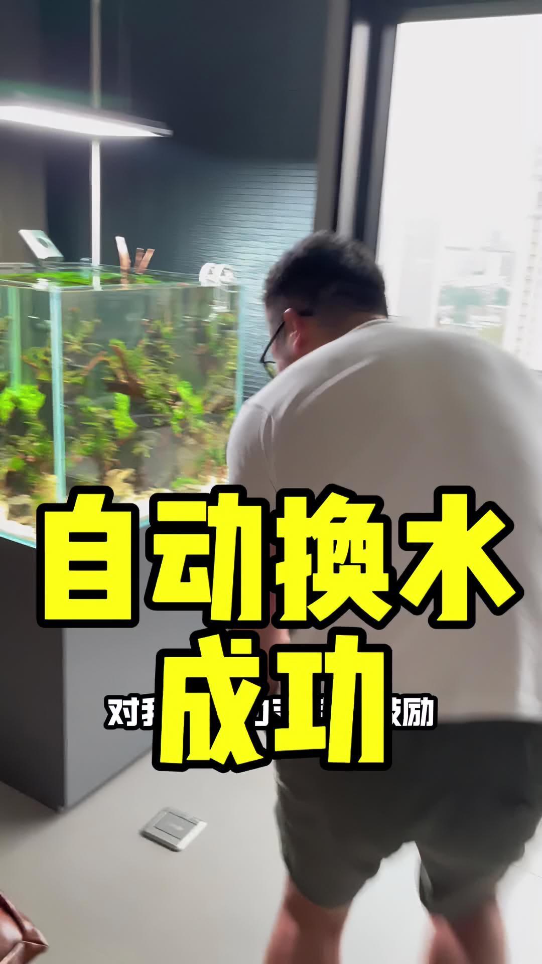 鱼缸自动换水终于成功了,多亏老婆鞭策 水族 鱼缸 养鱼