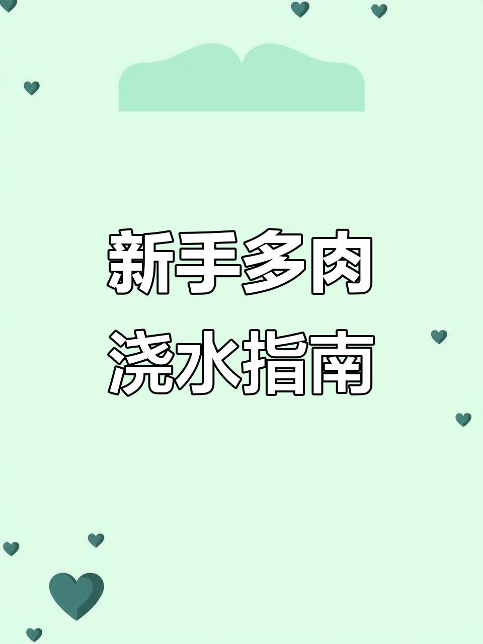 多肉植物浇水技巧,新手必看!避免水浇过多导致死亡