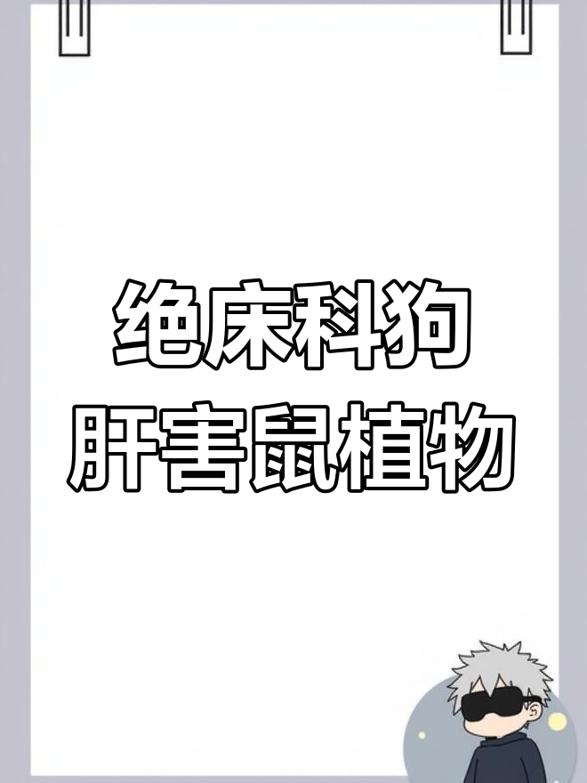 农村这种不起眼的宝贝,竟然这么值钱!你认识吗?