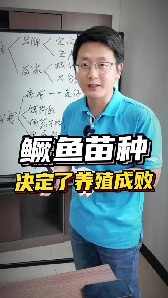 鳜鱼苗种决定了养殖成败,主要是这两方面原因!