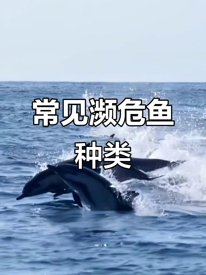 36种濒危鱼类大揭秘,看看你认识几种?