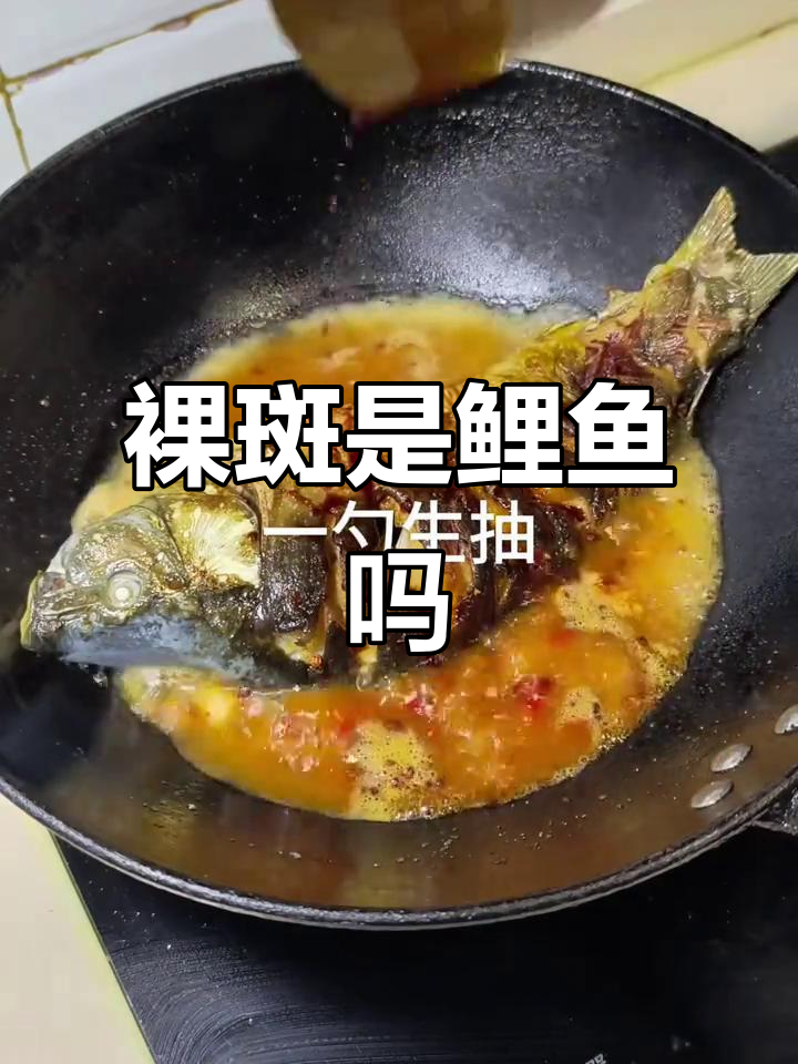 裸斑真的是无鳞鲤鱼？真相揭秘