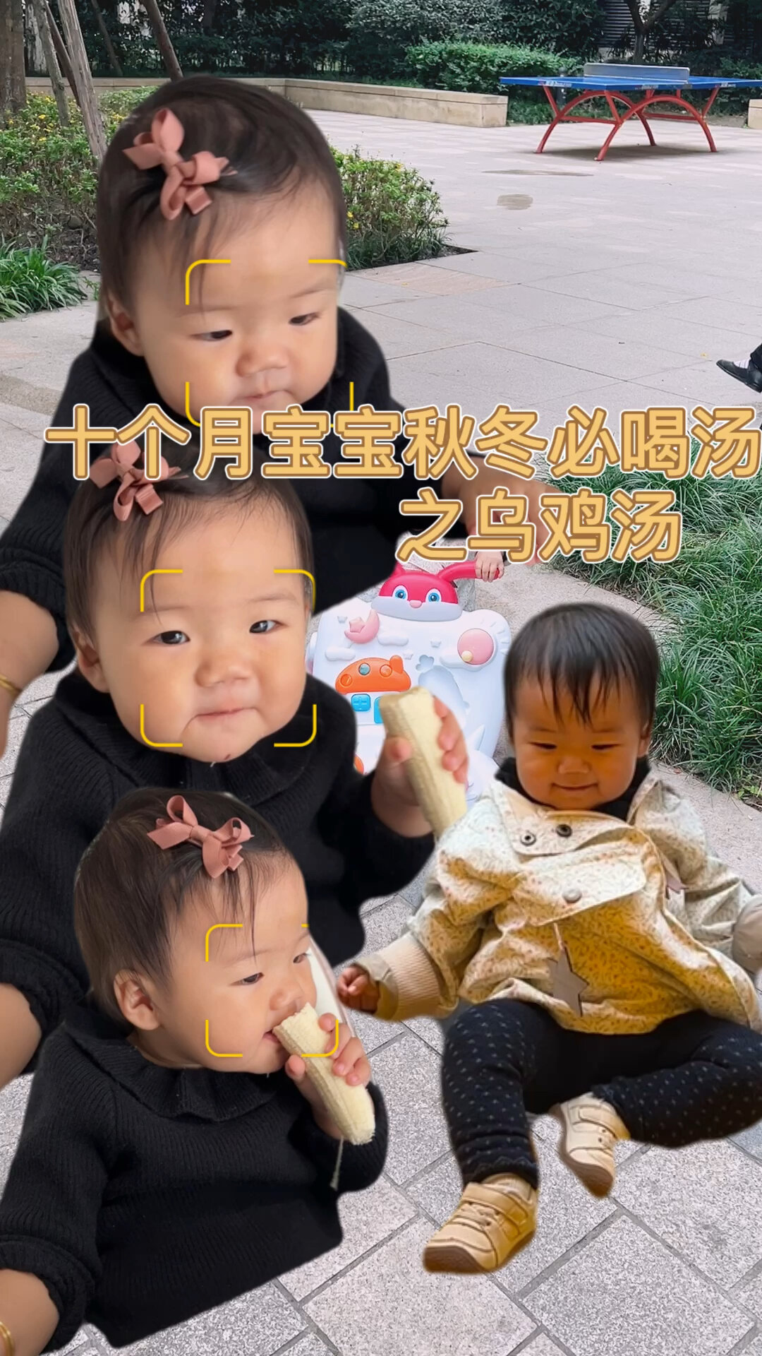 十个月宝宝可以喝的乌鸡汤