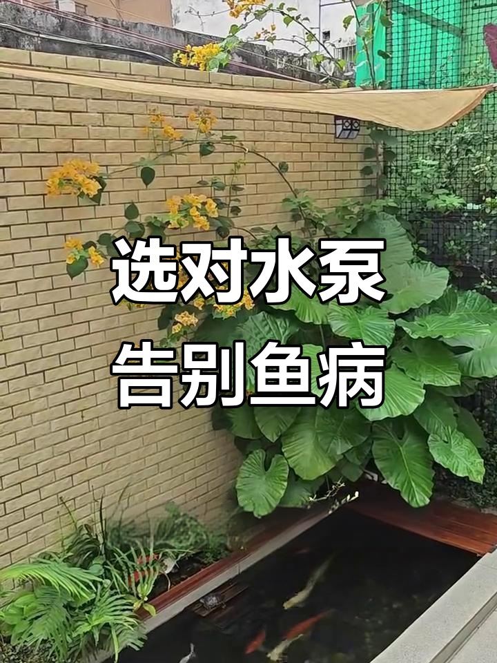 如何选择适合的鱼池水泵？流量和扬程才是关键