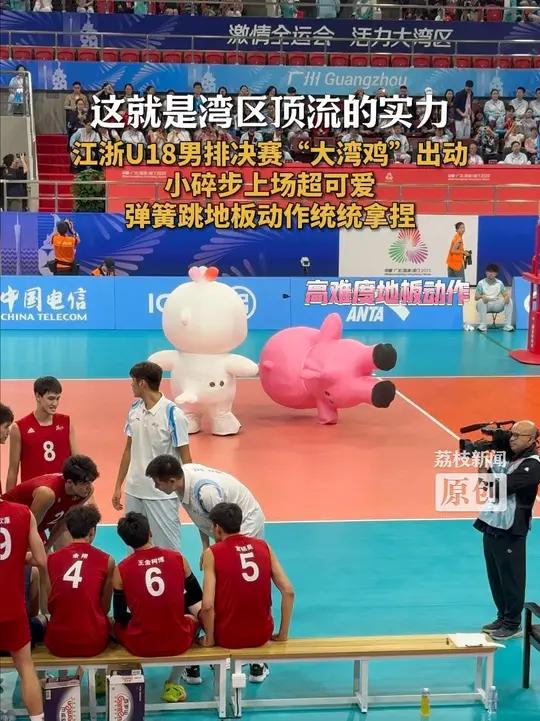这就是湾区顶流的实力 江浙U18男排决赛 “大湾鸡”出动 小碎步上场超可爱 弹簧跳地板动作