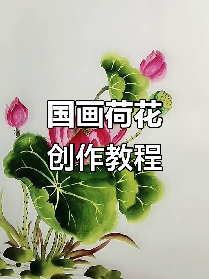 荷花国画技巧:从叶子到莲蓬的绘制步骤
