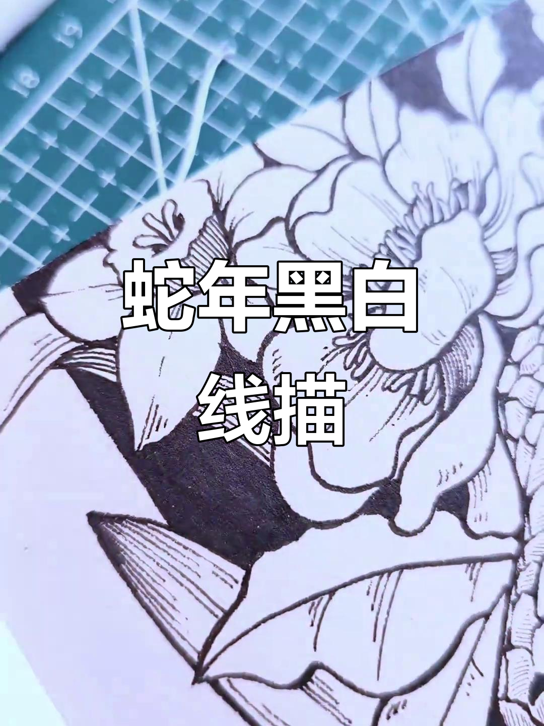 新年蛇年到,黑白线描画送上祝福!