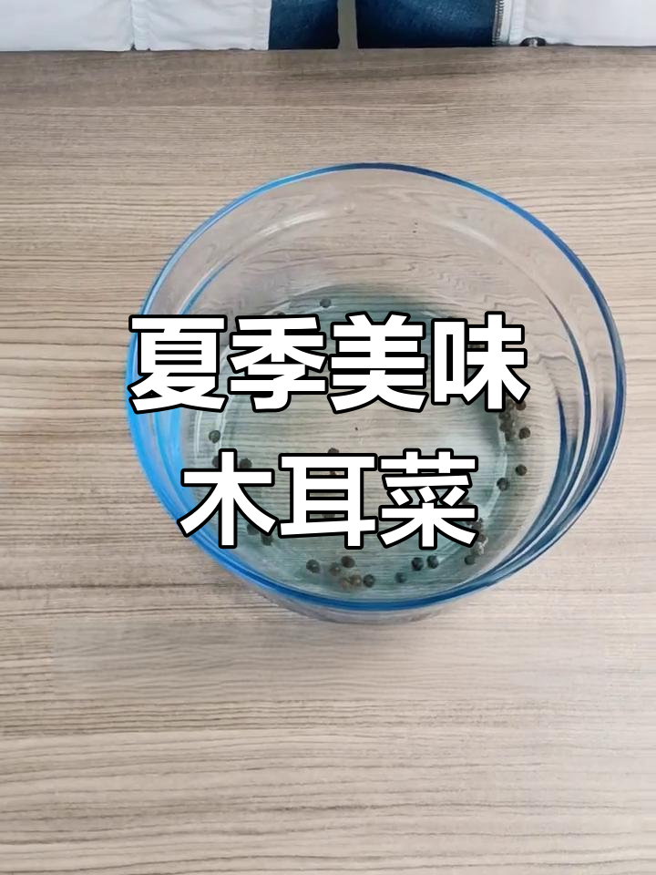 木耳菜,夏日美味,种植简单,一季收获!
