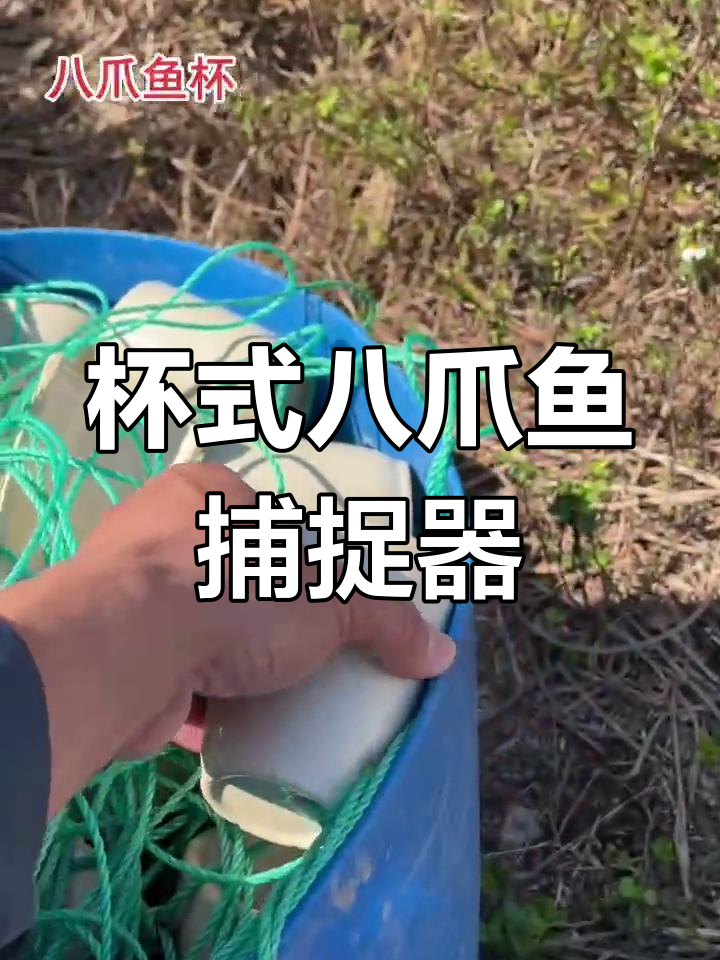 八爪鱼捕捞神器,像杯子一样轻松抓获