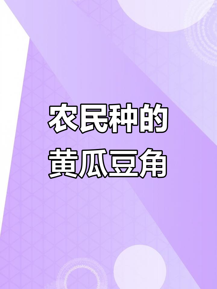 农民的辛苦与幸福:从早到晚,种菜人的生活