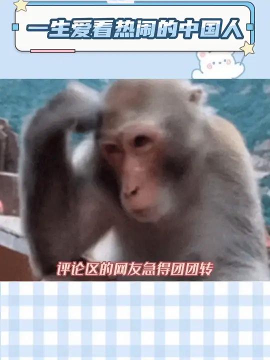 好期待,如果是潮汕人就更刺激了!抢票看热闹 出柜