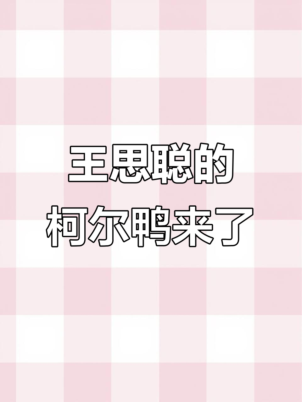 哈尔滨也能撸王思聪同款柯尔鸭,超乖巧萌宠等你来玩