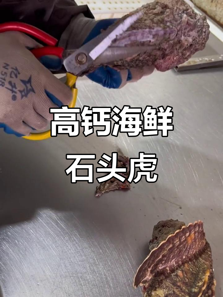 石头虎鱼:营养高钙,海鲜原产地美味来袭