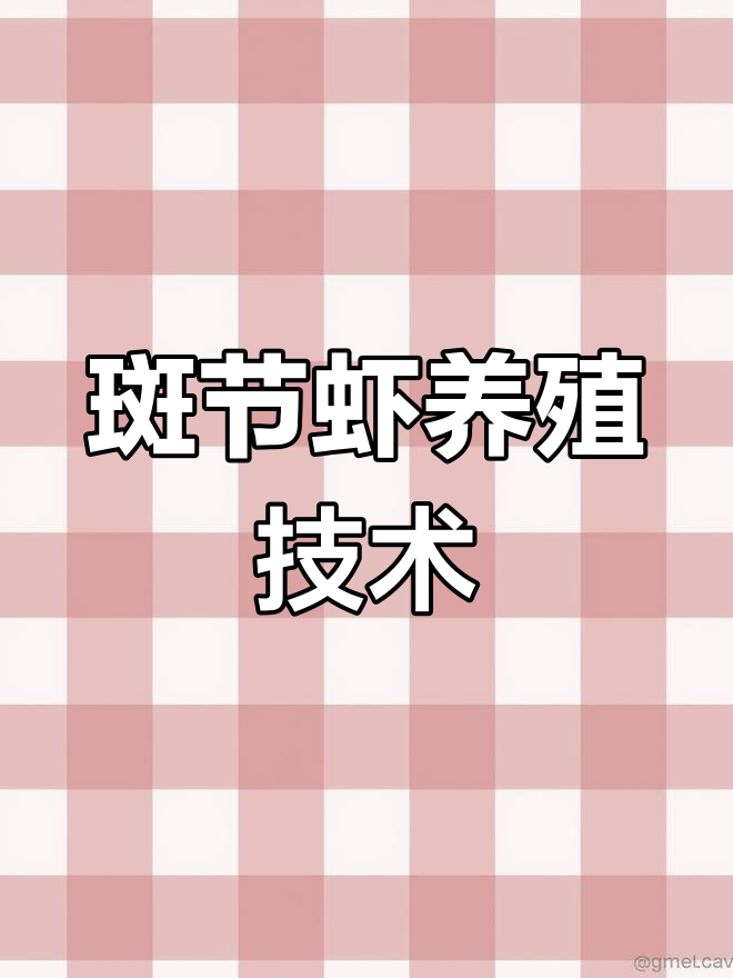 斑节虾养殖技巧:促进同步生长的两大关键措施