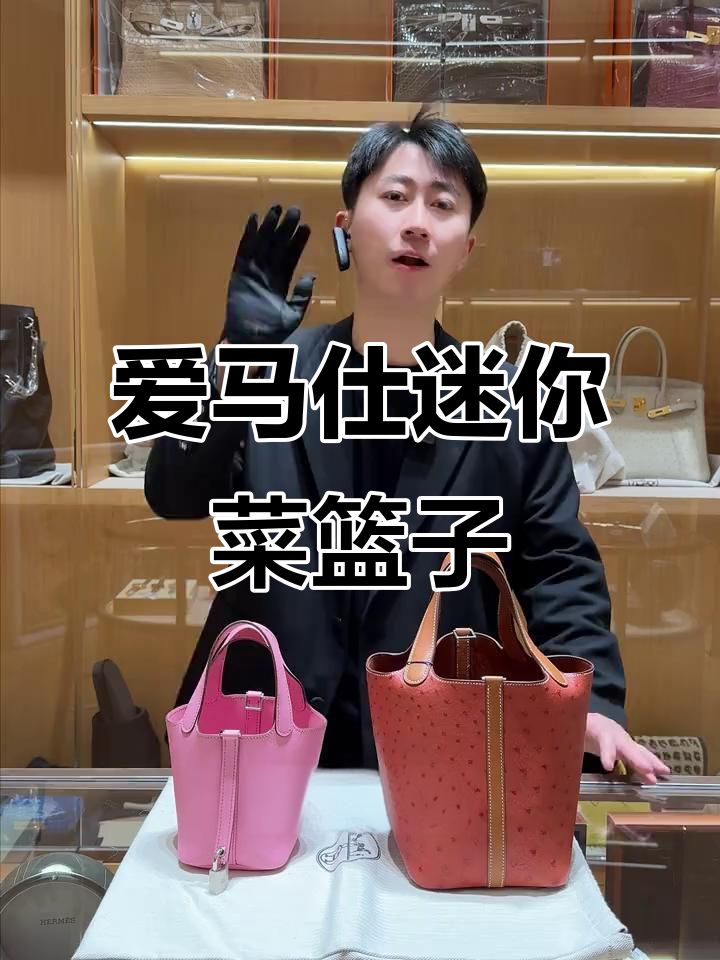 稀有隐爵版菜篮子,迷你尺寸超实用