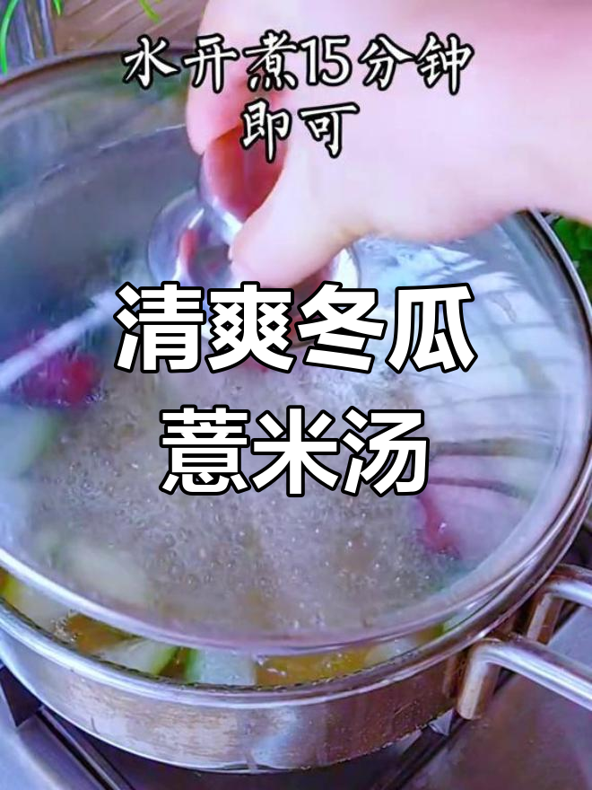 夏季必备!冬瓜薏米汤,清凉一夏从这一碗开始