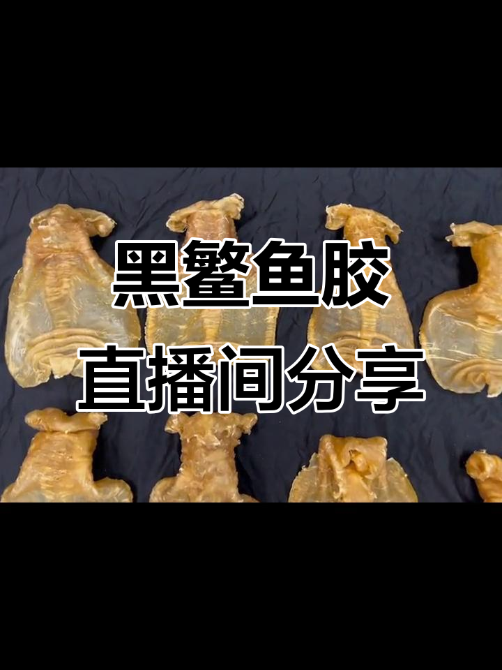 纯公黑鳘鱼胶,稀有鸭脷胶晚上直播揭秘