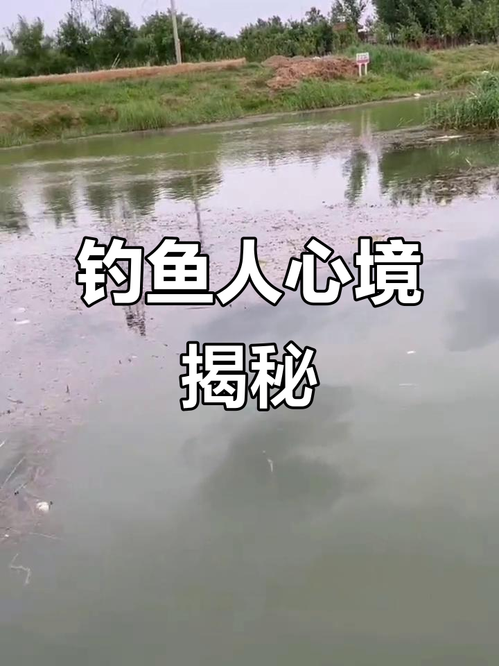 钓鱼人打油诗:钓友心声,句句入骨