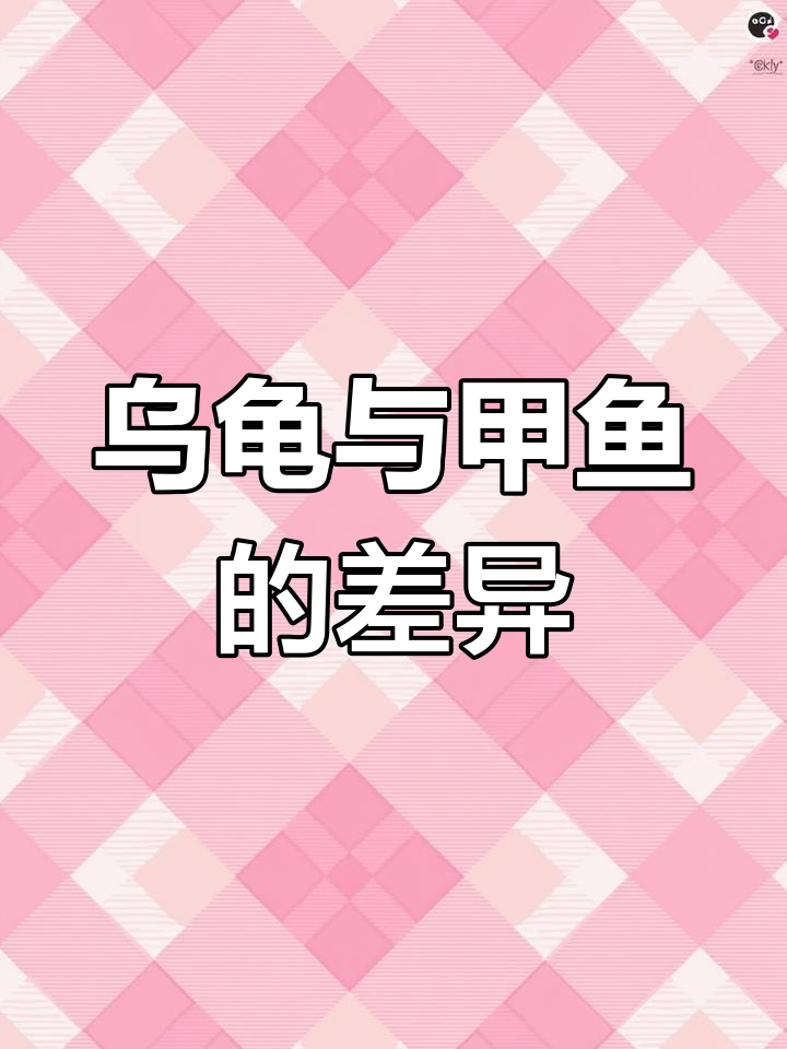 乌龟与甲鱼大不同,为何很少人吃?味道真有那么差吗?