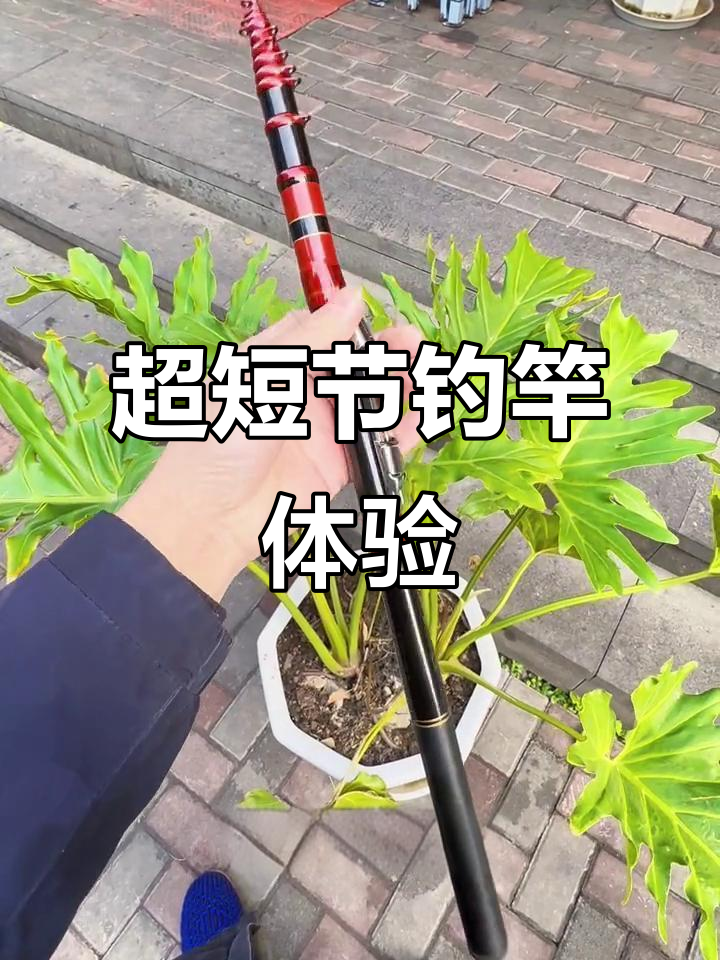 短节三定位钓竿评测,禧玛诺四米六超轻巧
