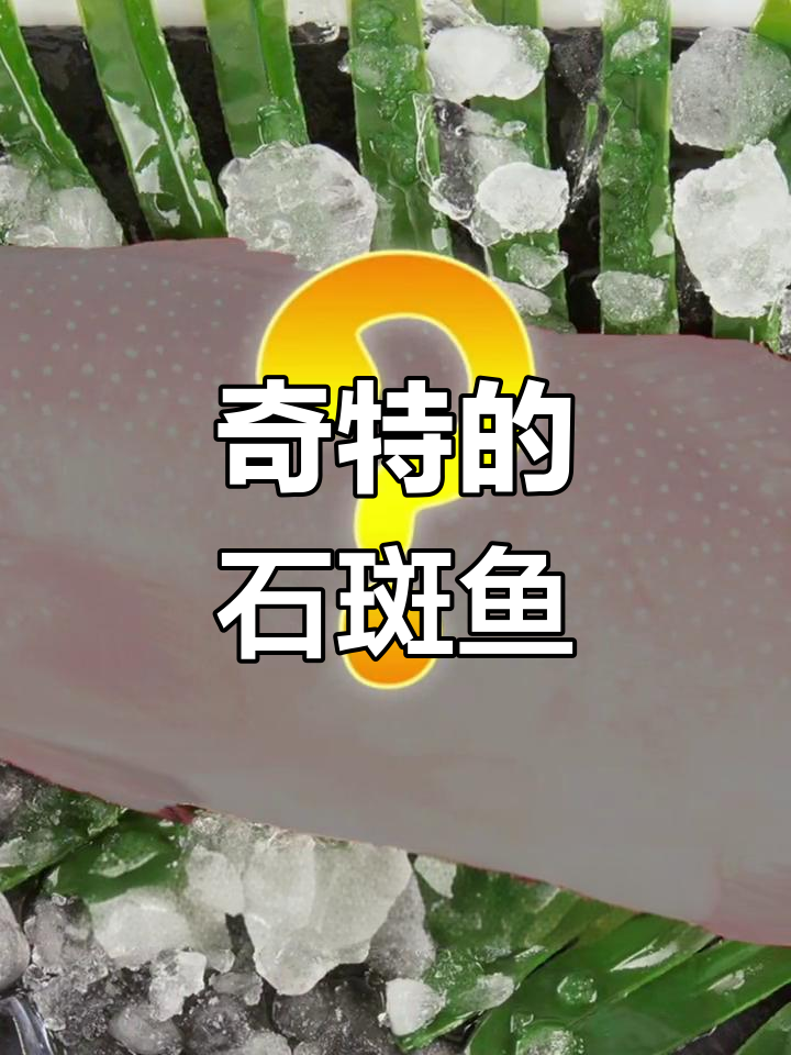 石斑鱼种类大揭秘