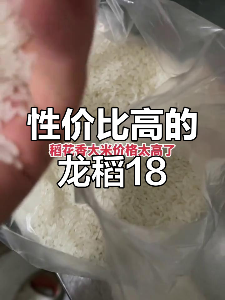 龙稻18:口感与价格并重,值得尝试的优质米