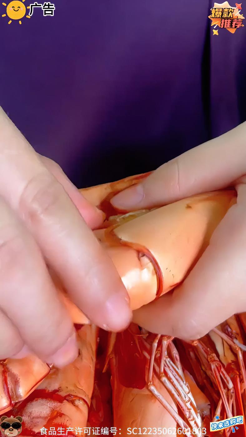 蝶岛海歌中号斑节虾 蝶岛海歌中号