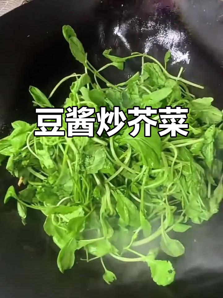 豆酱炒芥菜苗,青春的味道与放弃的抉择