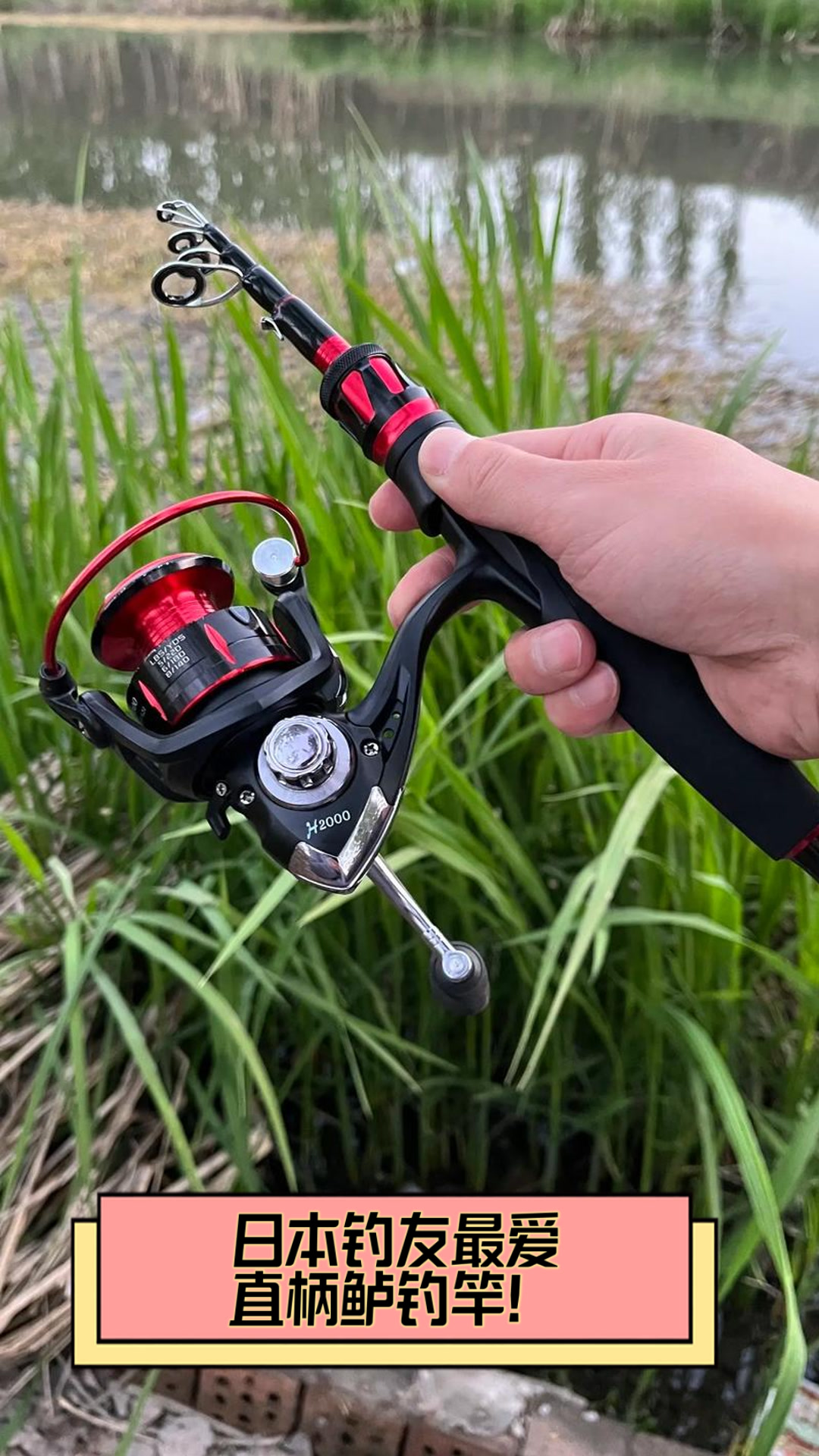 日本钓友最爱直柄鲈钓竿！