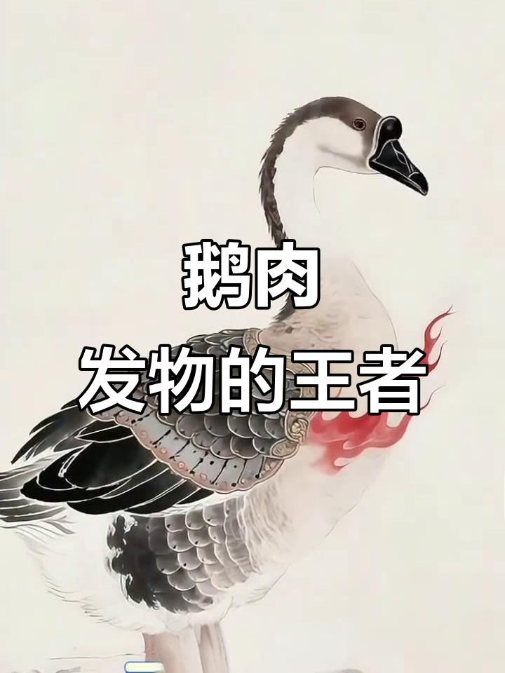 鹅肉是发物界的“猛将”，有伤口时最好别碰