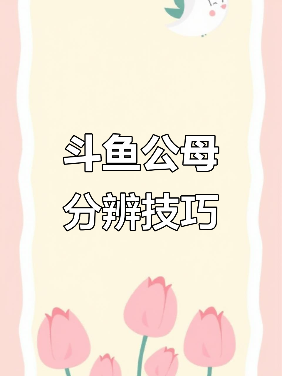 如何分辨中国斗鱼公母?四种方法教你轻松辨别