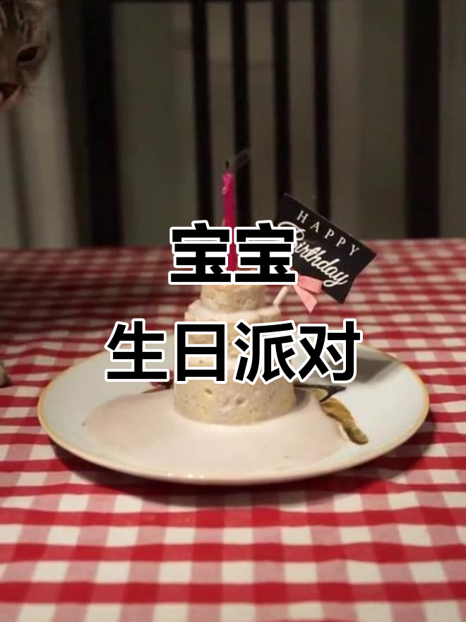 芝麻一岁生日,蛋糕分享,皮蛋爸爸却悄悄躲起来?