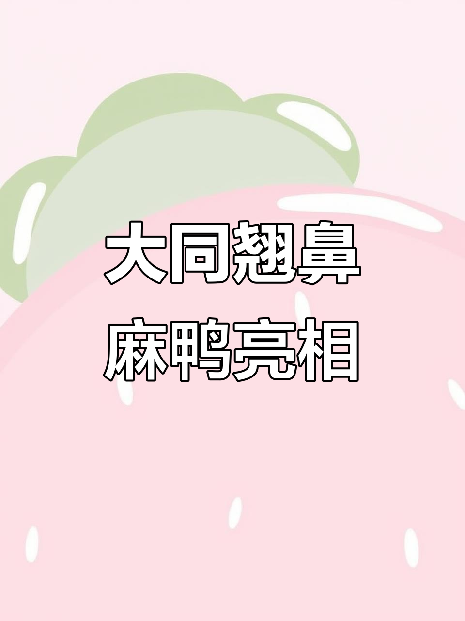 山西大同桑干河现身翘鼻麻鸭,颜值爆表惊艳全场