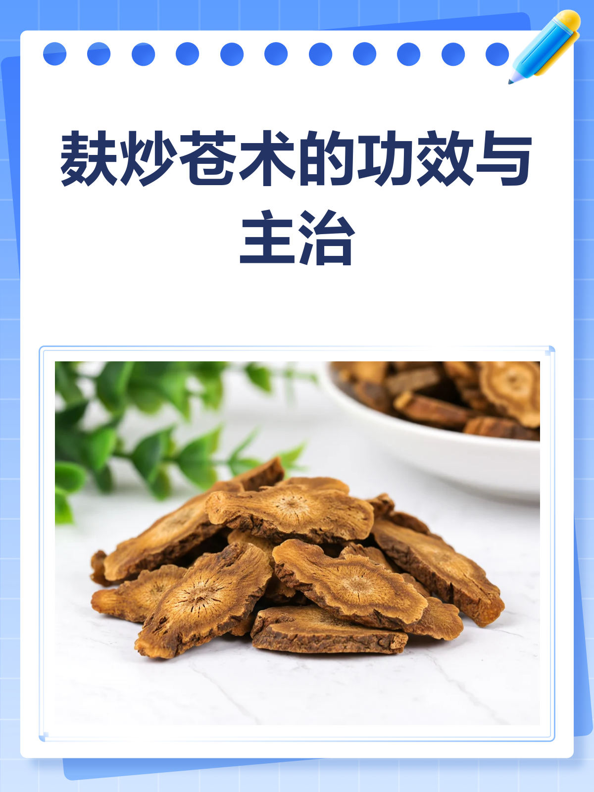 麸炒苍术,祛湿健脾的良药