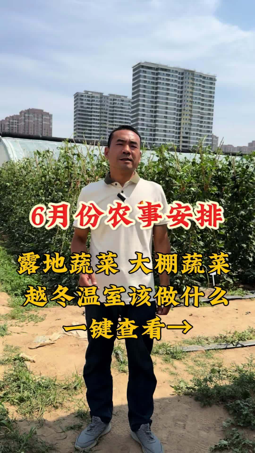 6月份农事安排-露地 大棚 越冬温室蔬菜,该如何管理!三农 农业种植