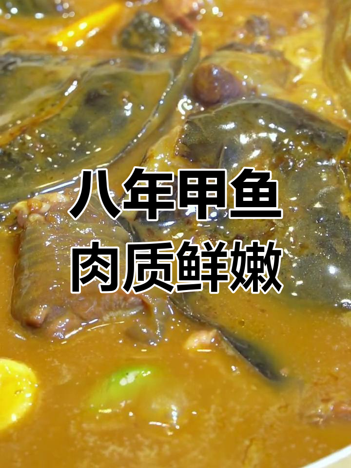 贵阳高端甲鱼餐厅,八年老母王八鲜香满满