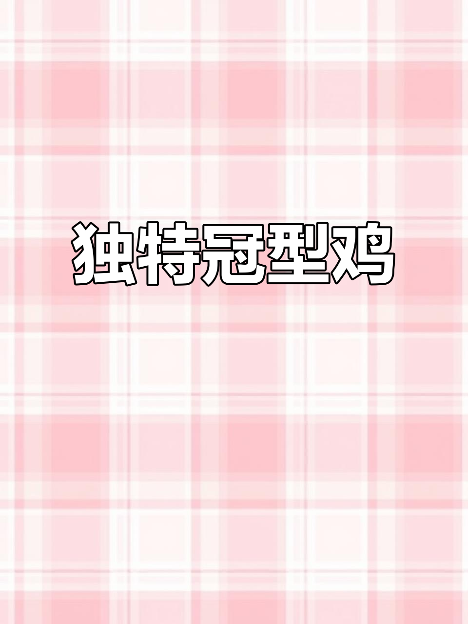 西西里亚纳鸡,独特冠型源自意大利,现已独立成新品种