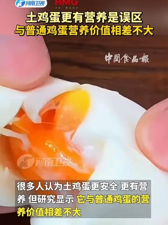 土鸡蛋更有营养是误区 与普通鸡蛋营养价值相差不大#土鸡蛋与普通鸡蛋的区别