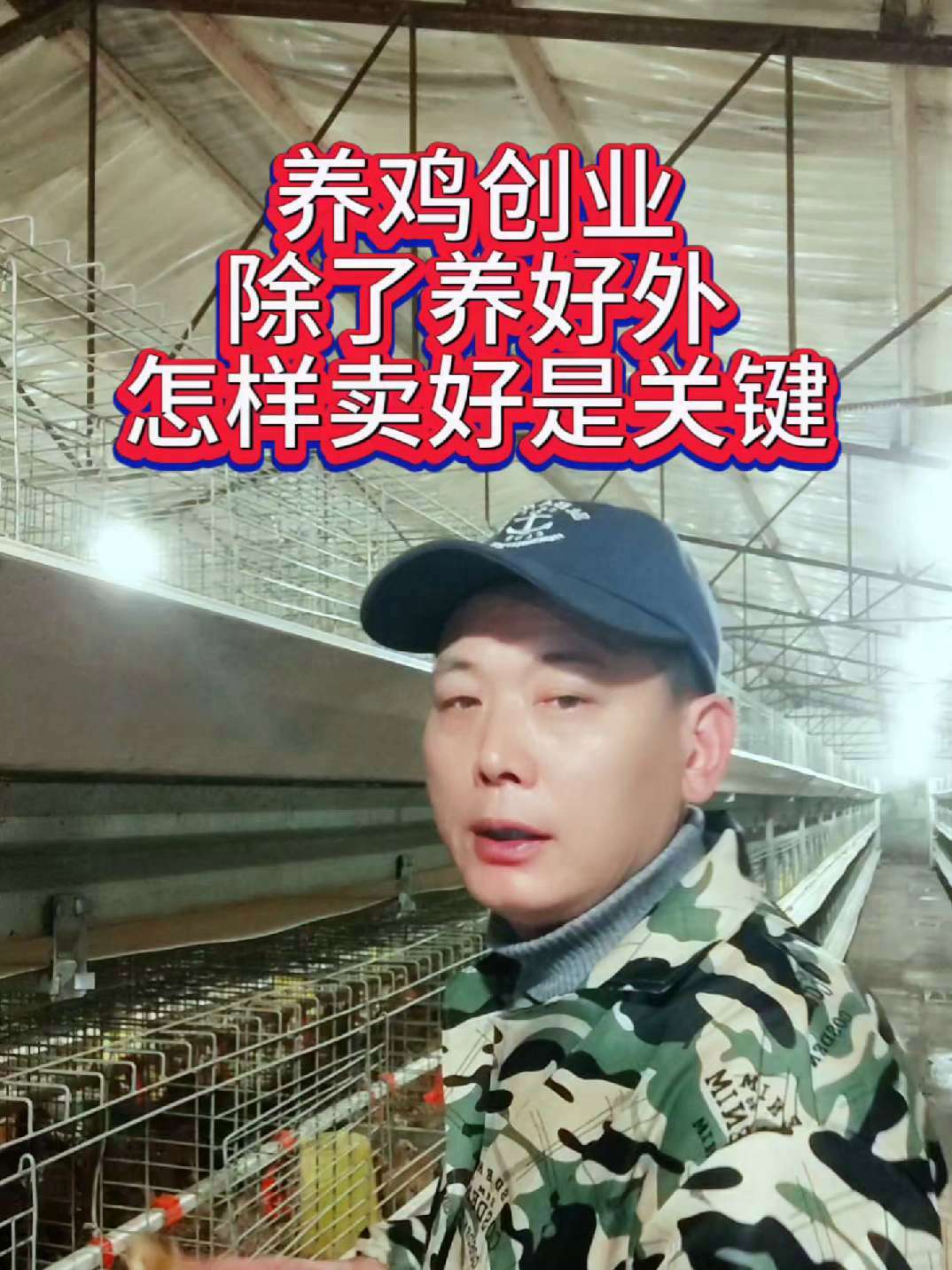 养鸡分两类,一种是养几十只自家吃的,一种是养鸡创业赚钱的,创业前要清楚,怎么卖才利润最大化