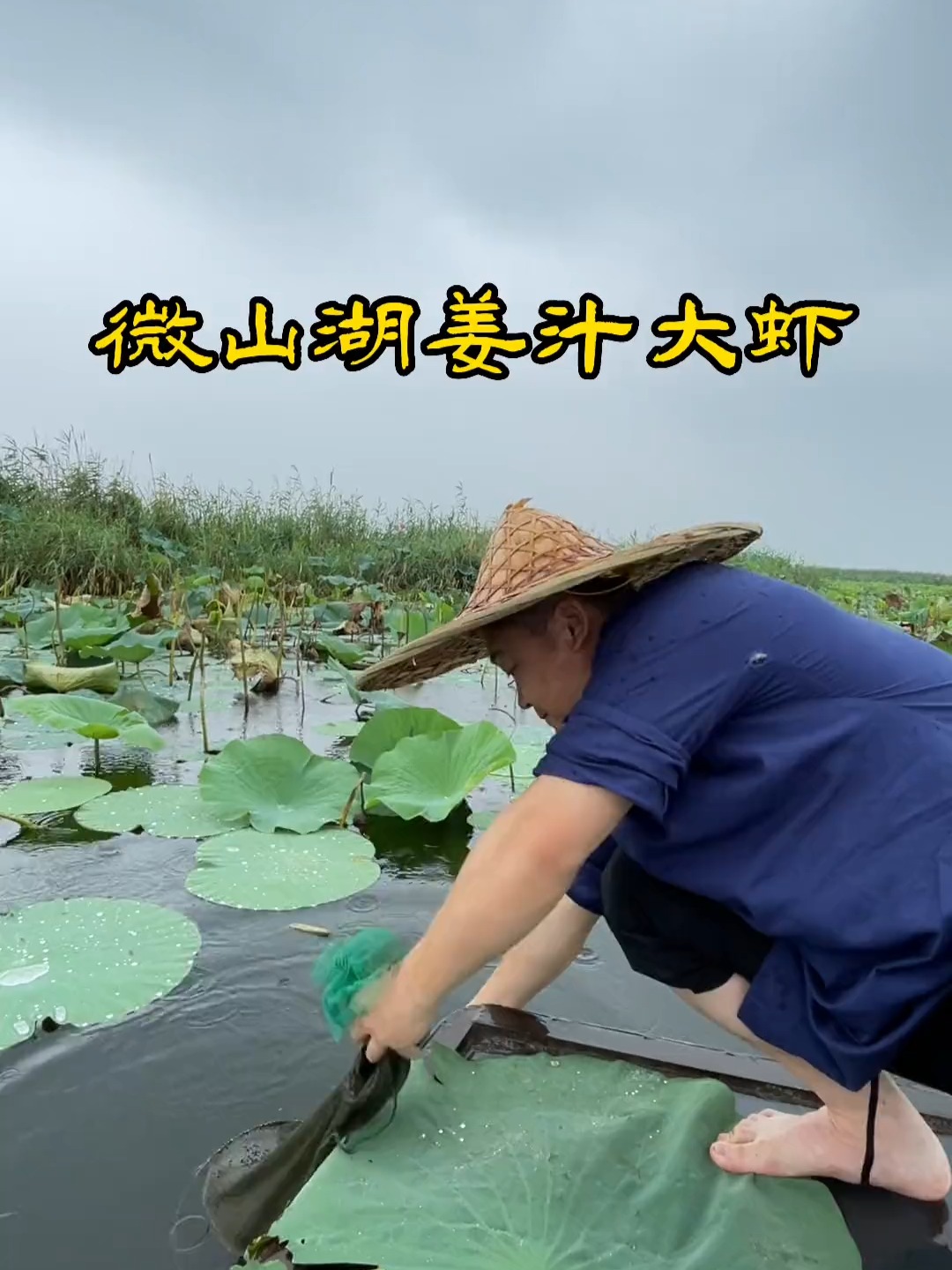 这道菜我敢说微山人都吃过,席面上必有姜汁大虾
