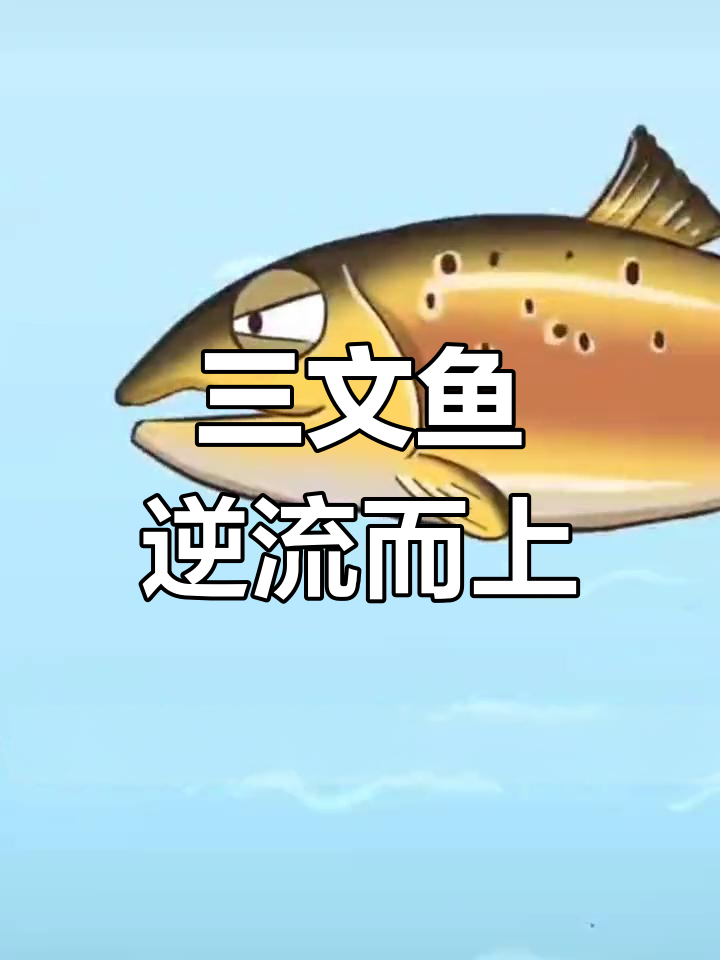 三文鱼的逆袭之路:从大西洋到河流,挑战极限产卵