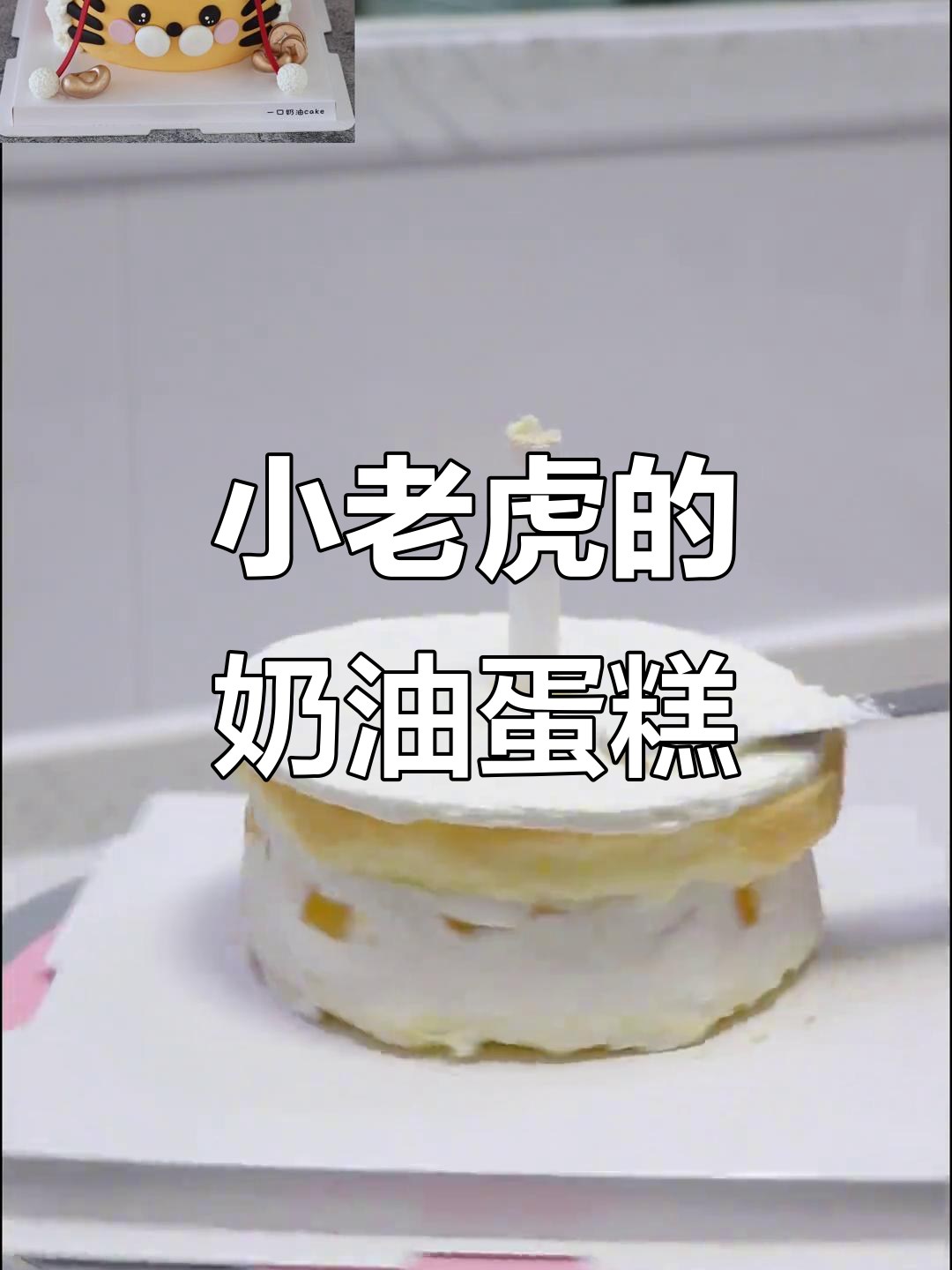 虎头虎脑的小可爱,生日蛋糕大变身!